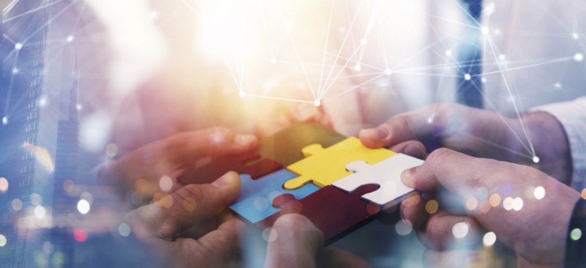 Establish a Branch in Belgium