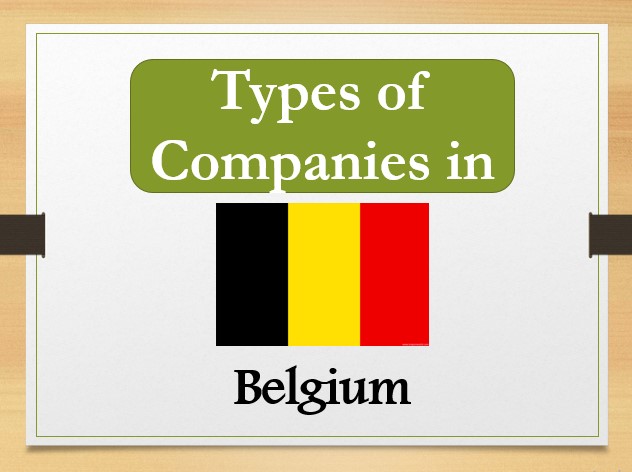Types de sociétés en Belgique